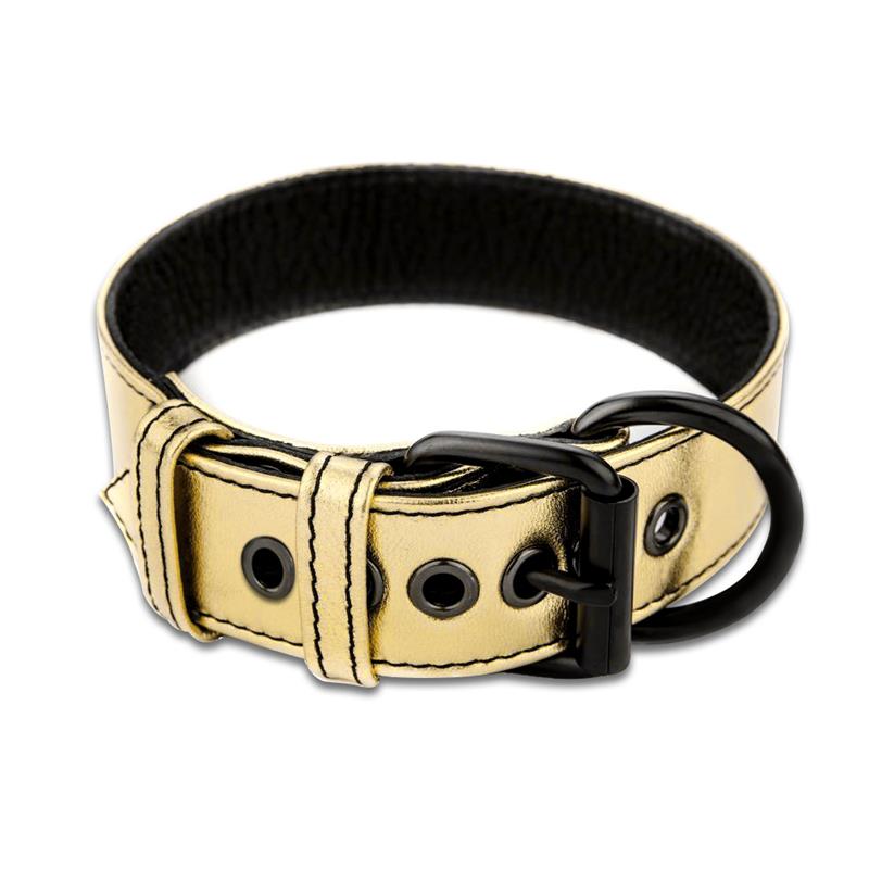 Collar with Leash Bondage Gold